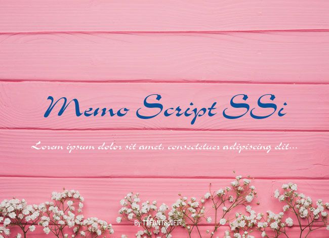 Memo Script SSi example